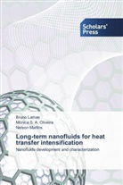 Brun Lamas, Bruno Lamas, Nelson Martins, Mónica S Oliveira, Mónica S A Oliveira, Mónica S. A. Oliveira - Long-term nanofluids for heat transfer intensification