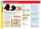 Flash Kids (COR), Flash Kids, Flash Kids Editors - Multiplication and Division Flashcharts