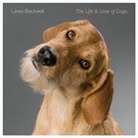 Lewis Blackwell, Blackwell Lewis, Lewis Blackwells - The Life and Love of Dogs
