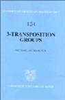 Michael Aschbacher, Michael (California Institute of Techn Aschbacher, Bela Bollobas, W. Fulton - 3-Transposition Groups