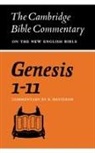 Robert Davidson, Davidson Robert - Genesis 1-11
