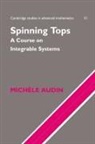 M. Audin, Michele Audin, Michhle Audin - Spinning Tops