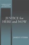 James P. Sterba, Douglas MacLean - Justice for Here and Now