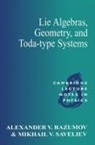 A. V. Razumov, Alexander V. Razumov, Alexander V. (Institute of High-Energy Ph Razumov, Alexander V. Saveliev Razumov, M. V. Saveliev, Mikhail V. Saveliev - Lie Algebras, Geometry, and Toda-Type Systems