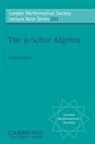 S. Donkin, S. (Queen Mary University of London) Donkin, Stephen Donkin, Stephen Hitchin Donkin, N. J. Hitchin - Q-Schur Algebra
