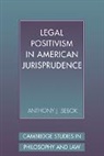 Anthony Sebok, Anthony J. Sebok, Anthony J. (Brooklyn College Sebok, Jules L. Coleman, Gerald Postema - Legal Positivism in American Jurisprudence