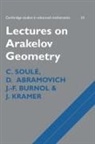 D. Abramovich, D. (Princeton University Abramovich, J. F. Burnol, J. F. (Max-Planck-Institut fur Mathematik) Burnol, J. K. (Department of Mathematics Kramer, Soul¿C.... - Lectures on Arakelov Geometry