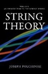 Joseph Olchinski, Joseph Polchinski, Joseph (University of California Polchinski, Peter Landshoff, D. R. Nelson - String Theory