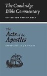 J. W. Packer, J.w. Packer, John W. Packer - Acts of the Apostles