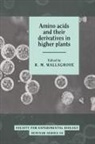 R. M. Wallsgrove, R. M. (Institute of Arable Crops Resea Wallsgrove, R.m. Wallsgrove, R. M. Wallsgrove - Amino Acids and Their Derivatives in Higher Plants