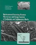 Jr Boggs, Sam Boggs, Sam Boggs Jr, David H. Krinsley, David H. (University of Oregon) Krinsley, David H. (University of Oregon) Pye Krinsley... - Backscattered Scanning Electron Microscopy and Image Analysis of