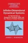 James C. Robinson, James C. (University of Warwick) Robinson, M. J. Ablowitz, D. G. Crighton - Infinite-Dimensional Dynamical Systems
