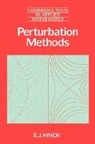 E. J. Hinch, E. J. (University of Cambridge) Hinch, M. J. Ablowitz, D. G. Crighton - Perturbation Methods