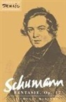 Nicholas Marston, Julian Rushton - Schumann: Fantasie, Op. 17