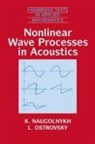 K. Naugolnykh, K. (University of Colorado Naugolnykh, K. A. Naugolnykh, K. Ostrovsky Naugolnykh, K.a. Ostrovsky Naugolnykh, L. Ostrovsky... - Nonlinear Wave Processes in Acoustics
