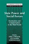 Joel S. Kohli Migdal, Joel Samuel Kohli Migdal, Atul Kohli, Joel S. Migdal, Joel Samuel Migdal, Vivienne Shue - State Power and Social Forces
