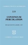 Ronald Meester, Ronald (Universiteit Utrecht Meester, Ronald Roy Meester, Rahul Roy, Rahul (Indian Statistical Institute Roy, Bela Bollobas... - Continuum Percolation