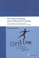 Gerlind Pracht - Stressbewältigung durch Blended Training