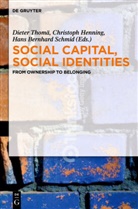 Hans Bernhard Schmid, Christop Henning, Christoph Henning, Hans Bernhard Schmid, Dieter Thomä - Social Capital, Social Identities