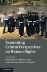 Rob Dickinson, Rob Katselli Dickinson, Rob Dickinson, Elena Katselli, Elena Katselli Proukaki, Colin Murray... - Examining Critical Perspectives on Human Rights
