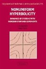Luis Barreira, Luis (Instituto Superior Tecnico Barreira, Luis Katok Barreira, Anatole Katok, Yakov Pesin, Yakov (Pennsylvania State University) Pesin - Nonuniform Hyperbolicity