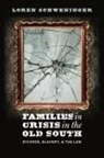 Loren Schweninger - Families in Crisis in the Old South