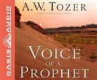 A. W. Tozer, James Snyder, James L. Snyder - Voice of a Prophet: Who Speaks for God? (Audiolibro)