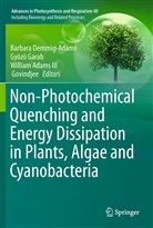 William Adams, William Adams III, William W. Adams III, William Adams III et al, Barbara Demmig-Adams, Gyoz Garab... - Non-Photochemical Quenching and Energy Dissipation In Plants, Algae and Cyanobacteria