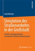 Jörg Dallmeyer - Simulation des Straßenverkehrs in der Großstadt