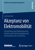 Ludwig Fazel - Akzeptanz von Elektromobilität