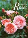 David Austin - English Roses