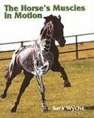 Sara Wyche - Horse s muscles in motion