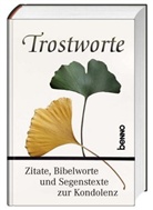 Volke Bauch, Volker Bauch - Trostworte, Cover Gingko