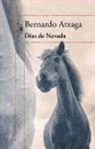 Bernardo Atxaga - Días de nevada