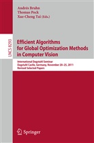 Andrés Bruhn, Andrès Bruhn, Thoma Pock, Thomas Pock, Xue-Cheng Tai - Efficient Algorithms for Global Optimization Methods in Computer Vision