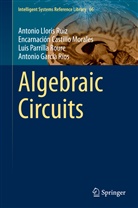 Encarnación Castillo Morales, Antonio García Ríos, Antoni Lloris Ruiz, Antonio Lloris Ruiz, Luis Parrilla Roure - Algebraic Circuits
