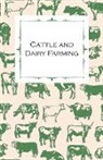 Anon, Anon. - Cattle and Dairy Farming