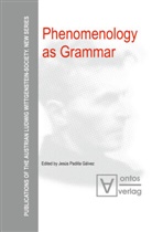 Jesus Padilla Galvez, Jesú Padilla Gálvez, Jesús Padilla Gálvez - Phenomenology as Grammar