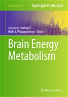 Johanne Hirrlinger, Johannes Hirrlinger, S Waagepetersen, S Waagepetersen, Helle S. Waagepetersen - Brain Energy Metabolism