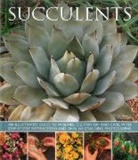 Terry Hewitt, Hewitt Terry - Succulents
