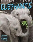 Sally Morgan - Elephants