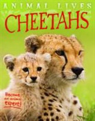 Sally Morgan - Cheetahs
