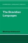 Bhadriraju Krishnamurti, Bhadriraju (University of Hyderabad Krishnamurti, S. R. Anderson, J. Bresnan - Dravidian Languages