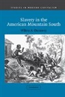 Wilma A. Dunaway, Wilma A. (Virginia Polytechnic Institute Dunaway, Maurice Aymard, Jacques Revel - Slavery in the American Mountain South