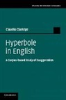 Claudia Claridge, Claudia (Universitat Duisburg-Essen) Claridge, Claridge Claudia - Hyperbole in English