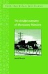 Metzer Jacob, Jacob Metzer, Jacob (Hebrew University of Jerusalem) Metzer, Charles Tripp - Divided Economy of Mandatory Palestine