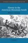Wilma A. Dunaway, Wilma A. (Virginia Polytechnic Institute Dunaway, Maurice Aymard, Jacques Revel - Slavery in the American Mountain South