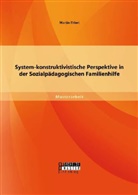 Martin Ehlert - System-konstruktivistische Perspektive in der Sozialpädagogischen Familienhilfe