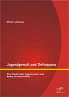 Miriam Lißmann - Jugendgewalt und Delinquenz: Eine Studie über Aggressionen und Boxen als Intervention