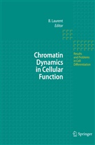 Breho Laurent, Brehon Laurent - Chromatin Dynamics in Cellular Function